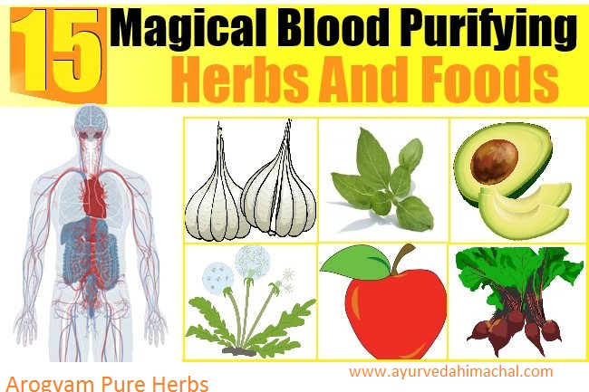 Herbs-And-Foods.jpg