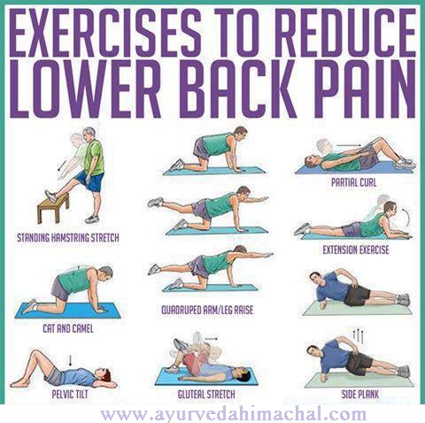 Exercises-to-reduce-lower-back-pain.jpg