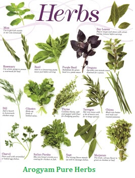 list-of-herbals-a.jpg