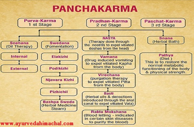 Panchkarma importance.jpg