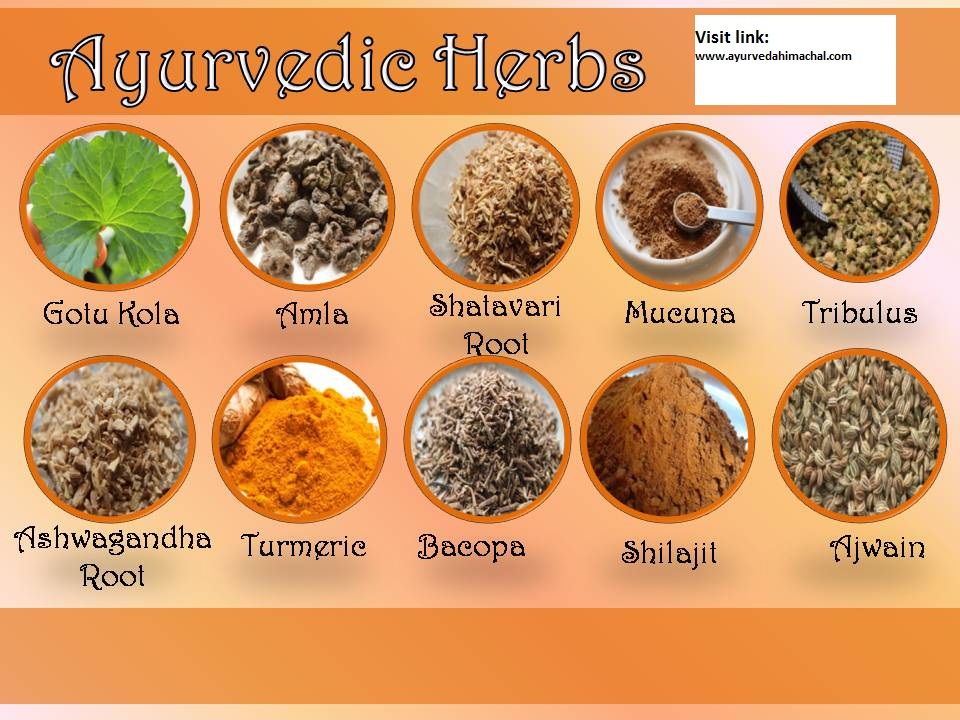 ayurvedic herbs.jpg