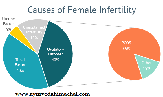 Causes-Female-Infertility.png