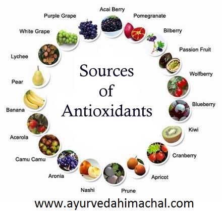 sources-of-antioxidants.jpg sources-of-antioxidants.jpg