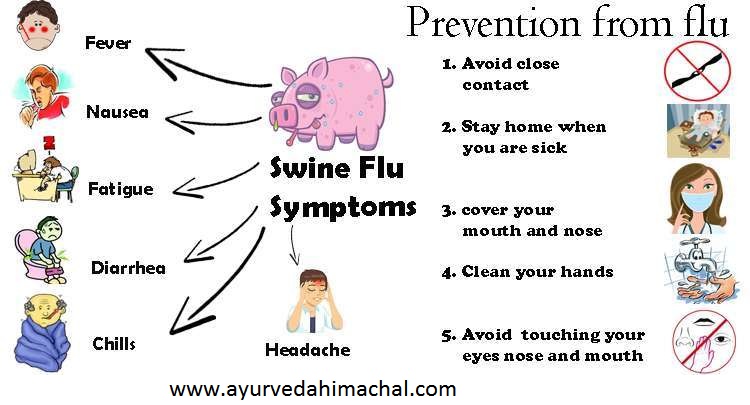 swineflu.jpg swineflu.jpg