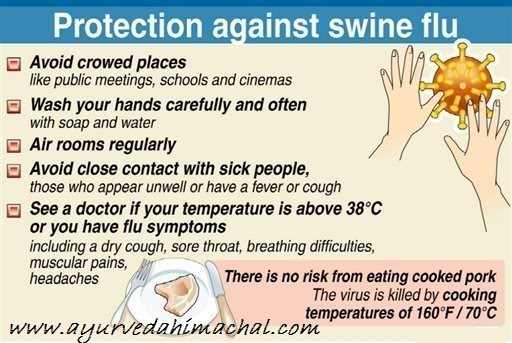 Swinefluprotection.jpg Swinefluprotection.jpg