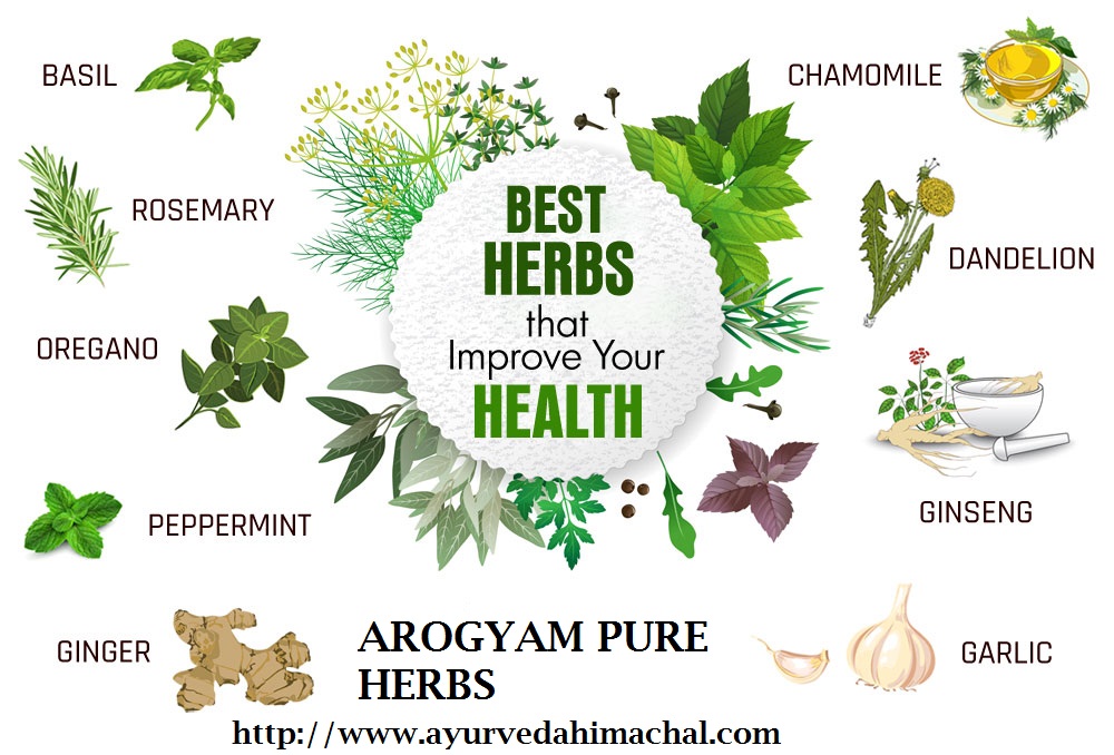 best-herbs-to-improve.jpg