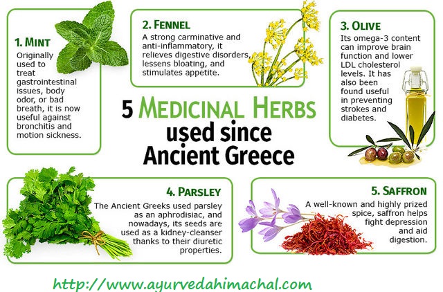 Uses-of-Herbal-Medicines.jpg