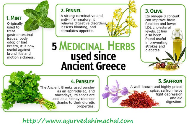 Uses-of-Herbal-Medicines.jpg Uses-of-Herbal-Medicines.jpg